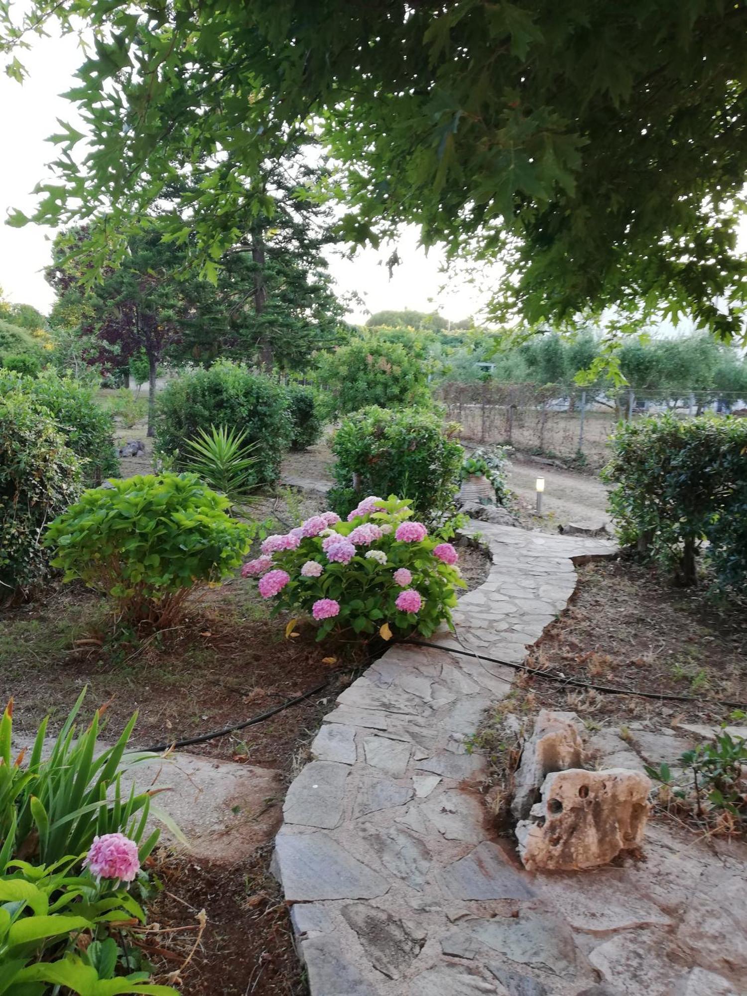 Villa Oneiropagida Preveza Bagian luar foto